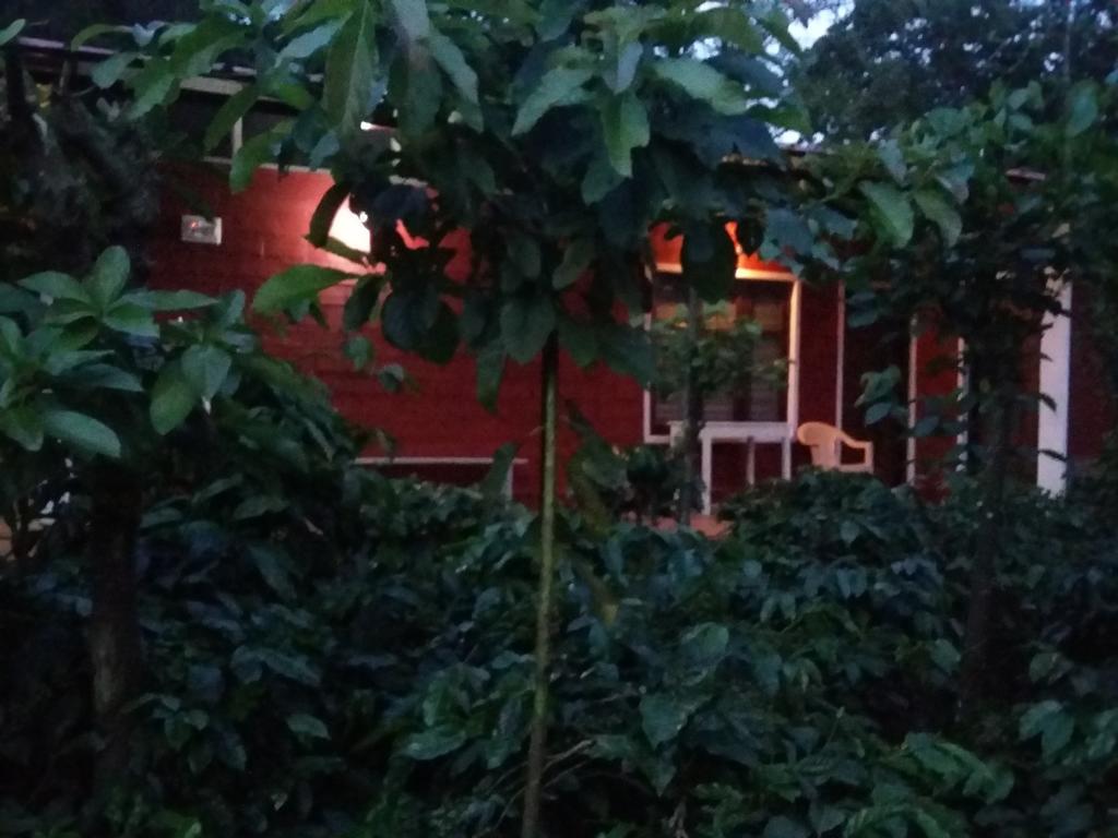 Athena Homestay Somvārpet Eksteriør bilde